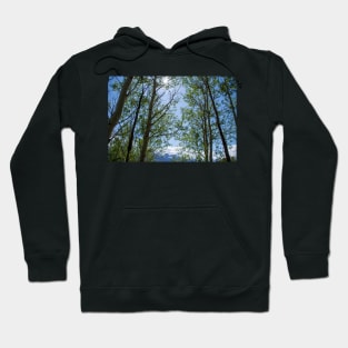 Colorado Mountain 5 Hoodie